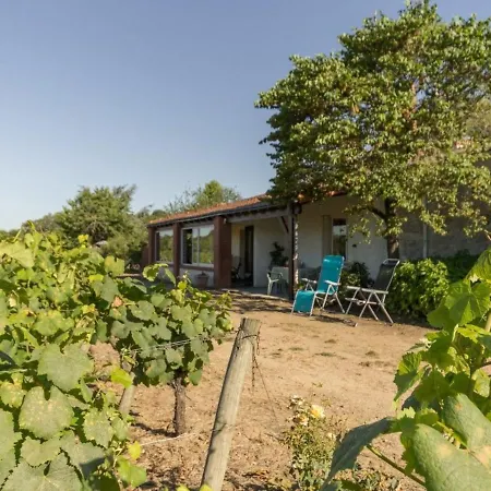 Holiday home Calme Sur Domaine Viticole, Cheminee, Wifi, Equipements Bebe, Proche Nantes - Fr-1-306-794 Le Landreau