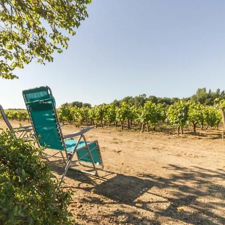Calme Sur Domaine Viticole, Cheminee, Wifi, Equipements Bebe, Proche Nantes - Fr-1-306-794