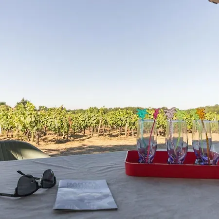 Calme Sur Domaine Viticole, Cheminee, Wifi, Equipements Bebe, Proche Nantes - Fr-1-306-794