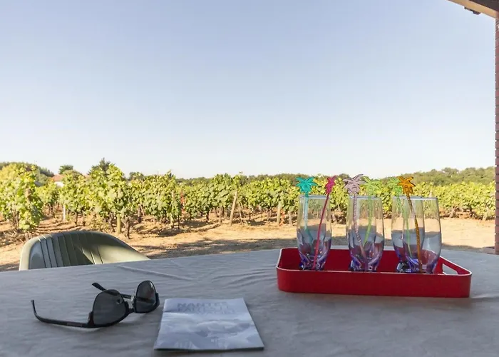 Calme Sur Domaine Viticole, Cheminee, Wifi, Equipements Bebe, Proche Nantes - Fr-1-306-794