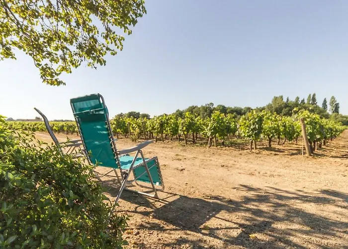 度假居 Calme Sur Domaine Viticole, Cheminee, Wifi, Equipements Bebe, Proche Nantes - Fr-1-306-794